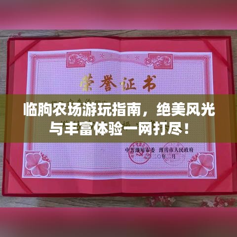 临朐农场游玩指南，绝美风光与丰富体验一网打尽！