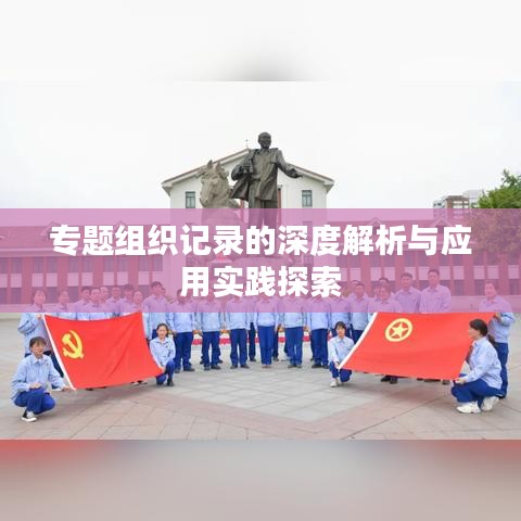 专题组织记录的深度解析与应用实践探索