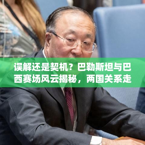误解还是契机？巴勒斯坦与巴西赛场风云揭秘，两国关系走向新高度