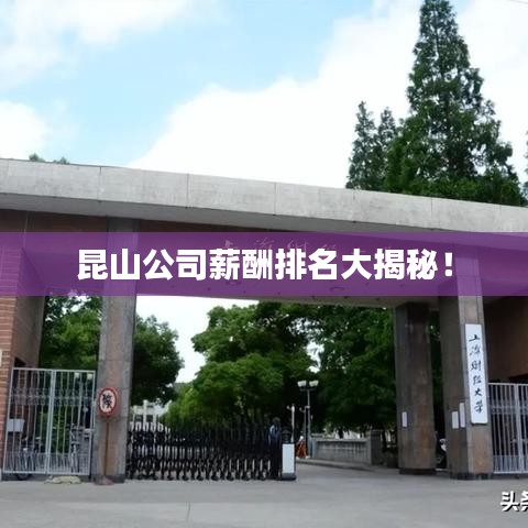 昆山公司薪酬排名大揭秘！