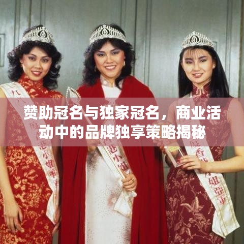 赞助冠名与独家冠名，商业活动中的品牌独享策略揭秘