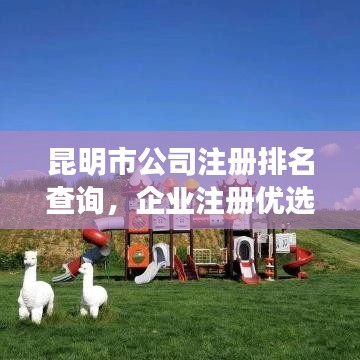 昆明市公司注册排名查询，企业注册优选指南全攻略