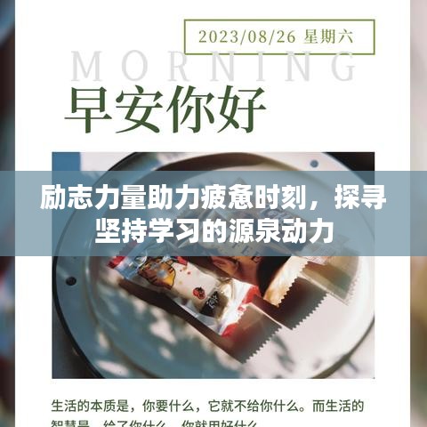 励志力量助力疲惫时刻，探寻坚持学习的源泉动力