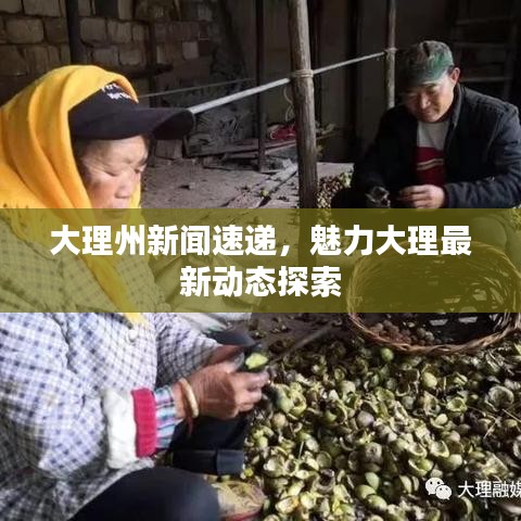 大理州新闻速递，魅力大理最新动态探索