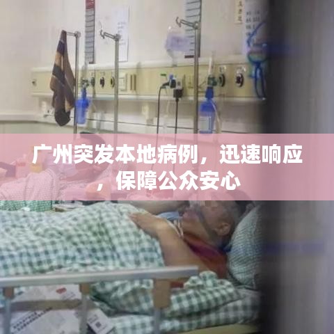 广州突发本地病例，迅速响应，保障公众安心