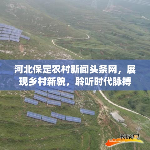河北保定农村新闻头条网，展现乡村新貌，聆听时代脉搏