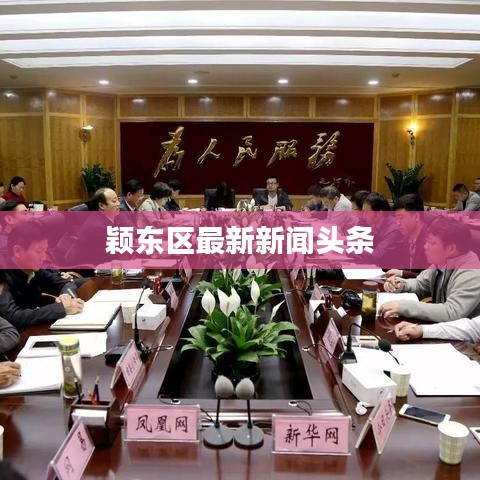 颖东区最新新闻头条