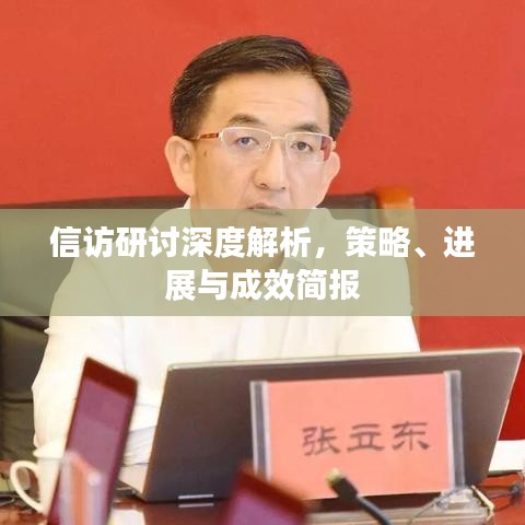 信访研讨深度解析，策略、进展与成效简报