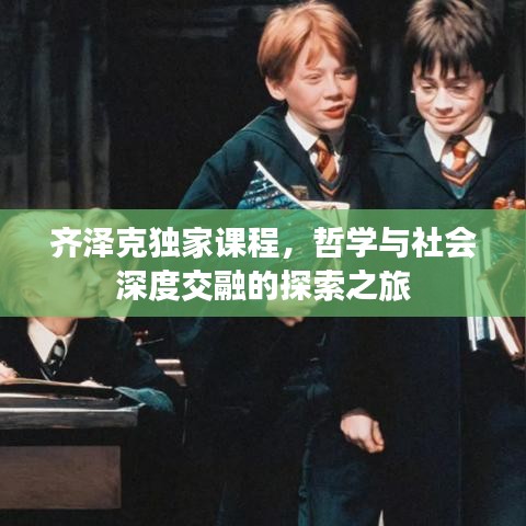 齐泽克独家课程，哲学与社会深度交融的探索之旅