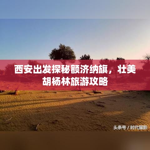 西安出发探秘额济纳旗，壮美胡杨林旅游攻略