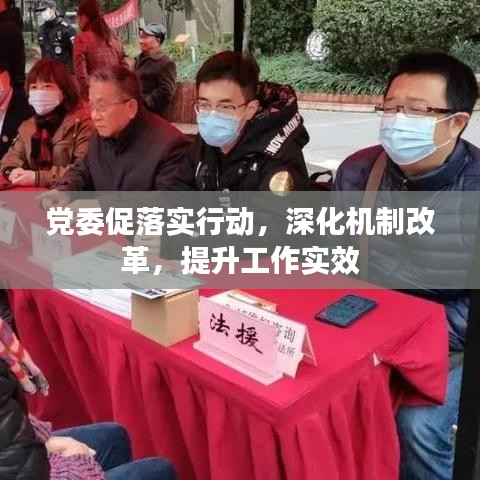 党委促落实行动，深化机制改革，提升工作实效
