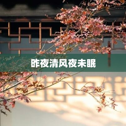昨夜清风夜未眠