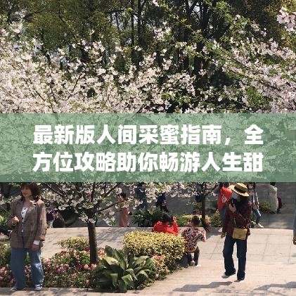 最新版人间采蜜指南，全方位攻略助你畅游人生甜蜜之旅