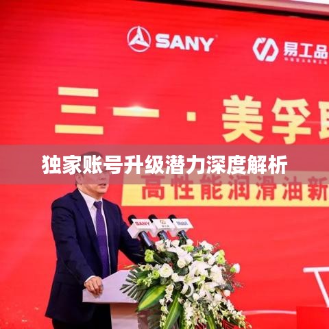 独家账号升级潜力深度解析