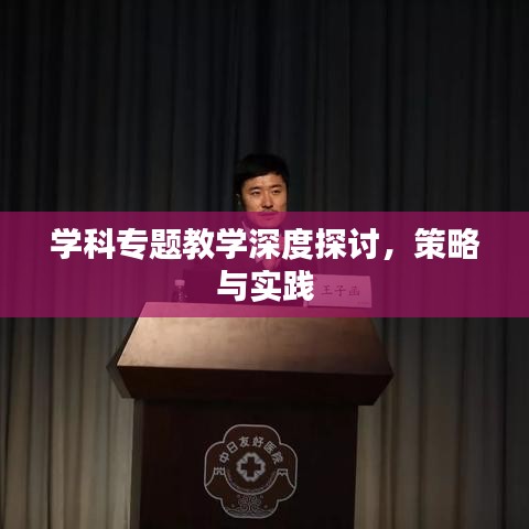 学科专题教学深度探讨，策略与实践