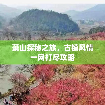 萧山探秘之旅，古镇风情一网打尽攻略