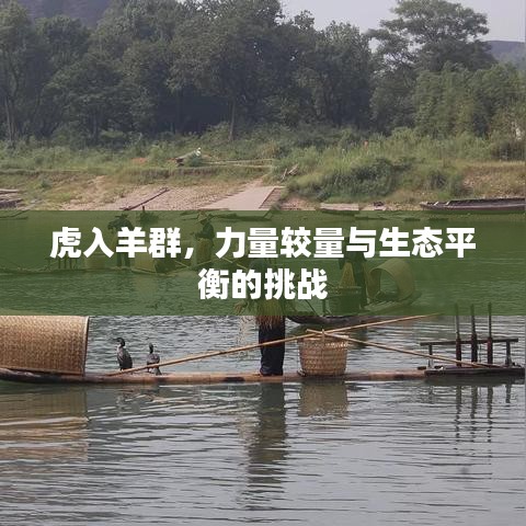 虎入羊群，力量较量与生态平衡的挑战