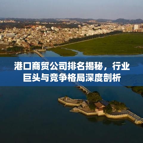 港口商贸公司排名揭秘，行业巨头与竞争格局深度剖析