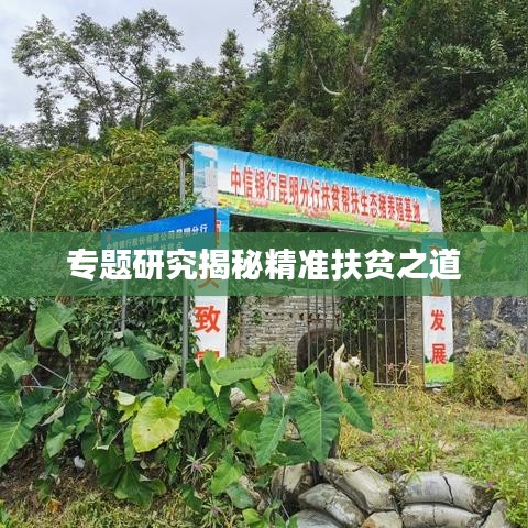 专题研究揭秘精准扶贫之道