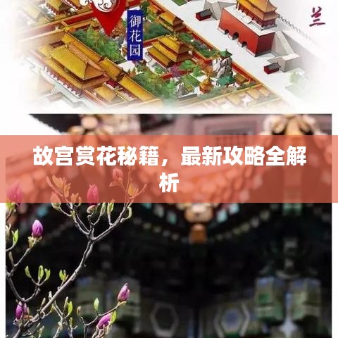 故宫赏花秘籍，最新攻略全解析