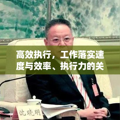 高效执行，工作落实速度与效率、执行力的关键