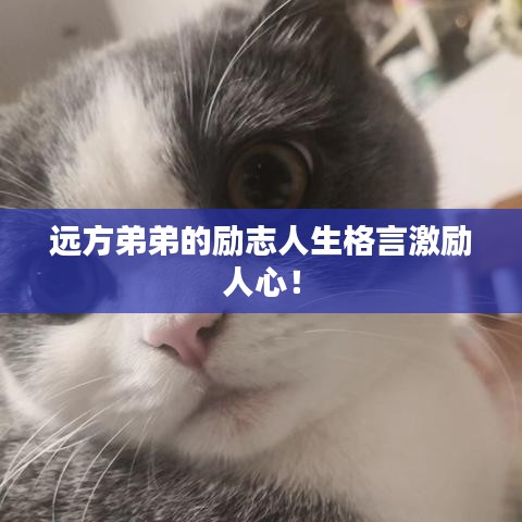 第277页
