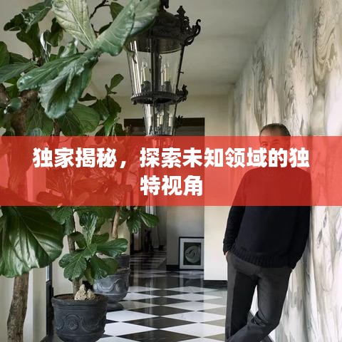 独家揭秘，探索未知领域的独特视角