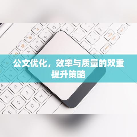 公文优化，效率与质量的双重提升策略