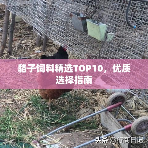 貉子饲料精选TOP10，优质选择指南