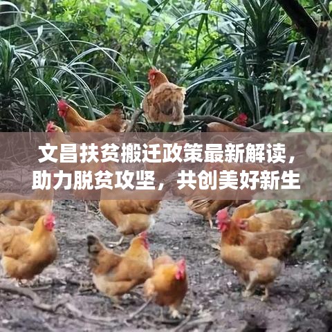 文昌扶贫搬迁政策最新解读，助力脱贫攻坚，共创美好新生活