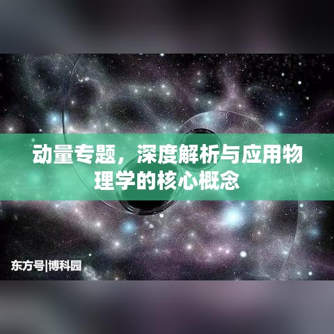 动量专题，深度解析与应用物理学的核心概念