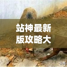 站神最新版攻略大全，游戏征服必备秘籍