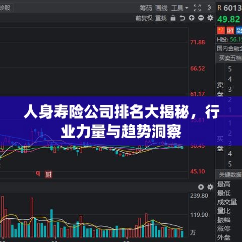 人身寿险公司排名大揭秘，行业力量与趋势洞察