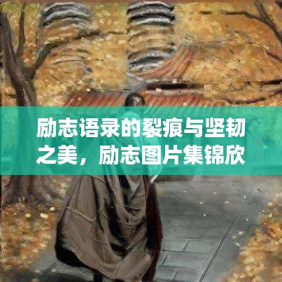 励志语录的裂痕与坚韧之美，励志图片集锦欣赏