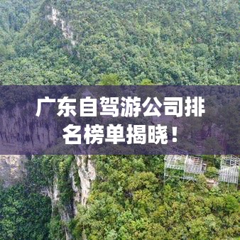广东自驾游公司排名榜单揭晓！