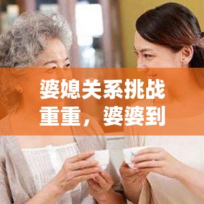 婆媳关系挑战重重，婆婆到来引发矛盾不断