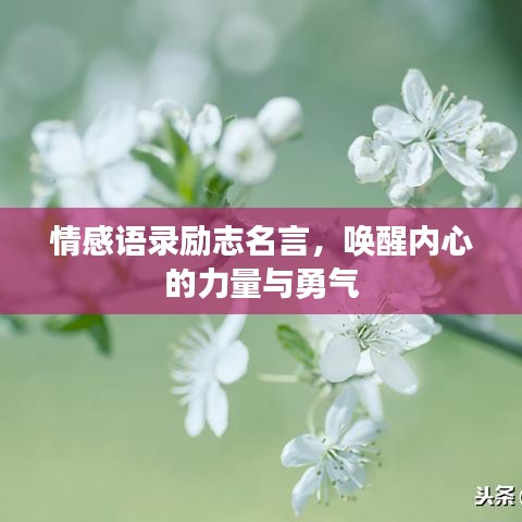 情感语录励志名言，唤醒内心的力量与勇气