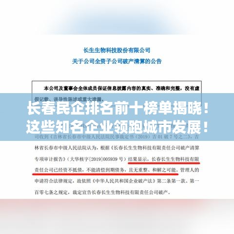 长春民企排名前十榜单揭晓！这些知名企业领跑城市发展！