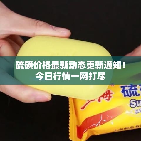 硫磺价格最新动态更新通知！今日行情一网打尽