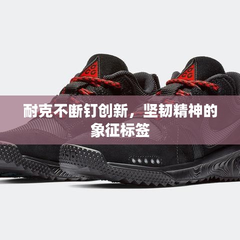 耐克不断钉创新，坚韧精神的象征标签