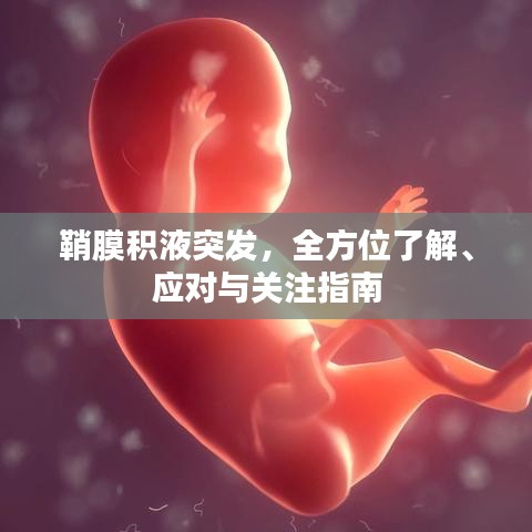 鞘膜积液突发，全方位了解、应对与关注指南