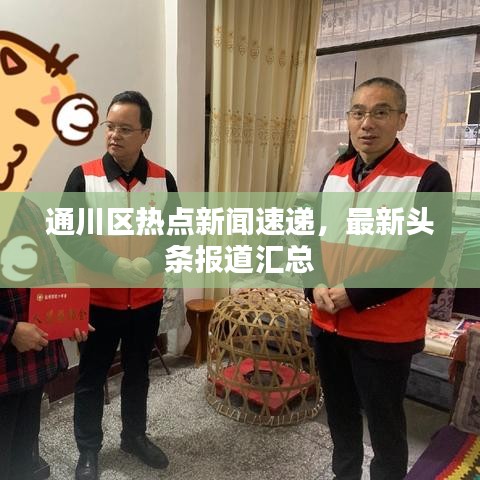 通川区热点新闻速递，最新头条报道汇总