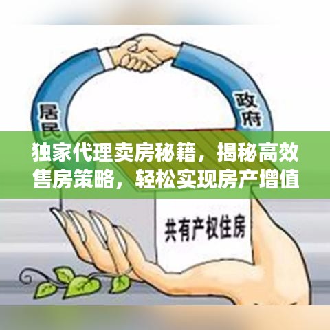独家代理卖房秘籍，揭秘高效售房策略，轻松实现房产增值！
