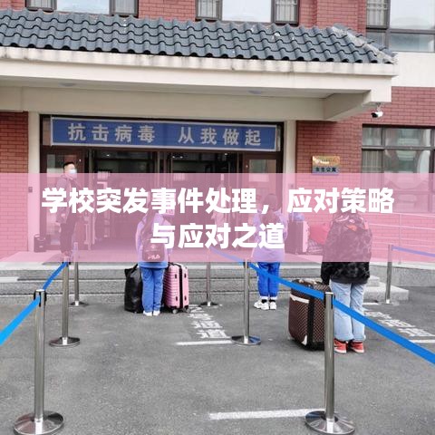 学校突发事件处理，应对策略与应对之道