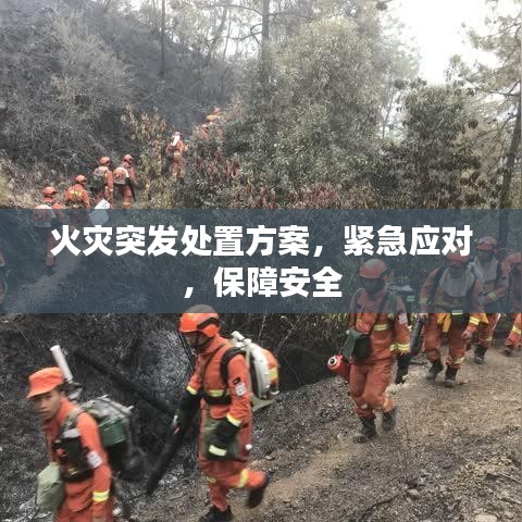 火灾突发处置方案，紧急应对，保障安全