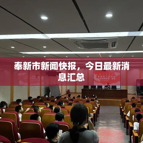 奉新市新闻快报，今日最新消息汇总