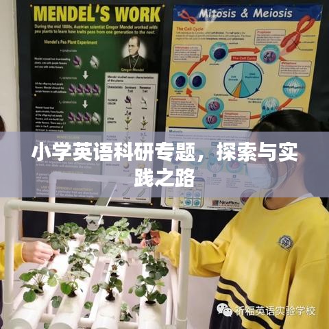 小学英语科研专题，探索与实践之路
