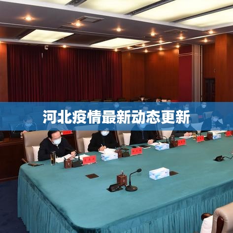 河北疫情最新动态更新