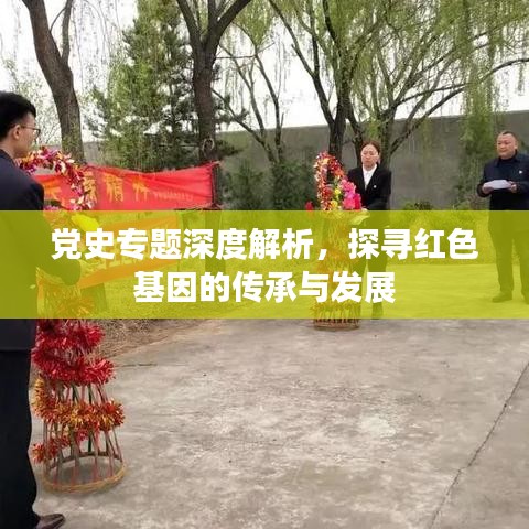 党史专题深度解析，探寻红色基因的传承与发展