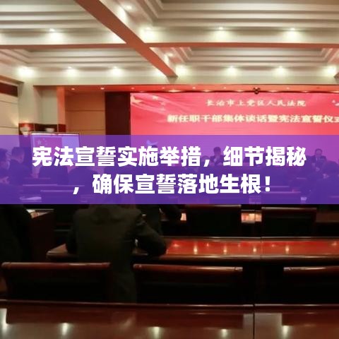 宪法宣誓实施举措，细节揭秘，确保宣誓落地生根！
